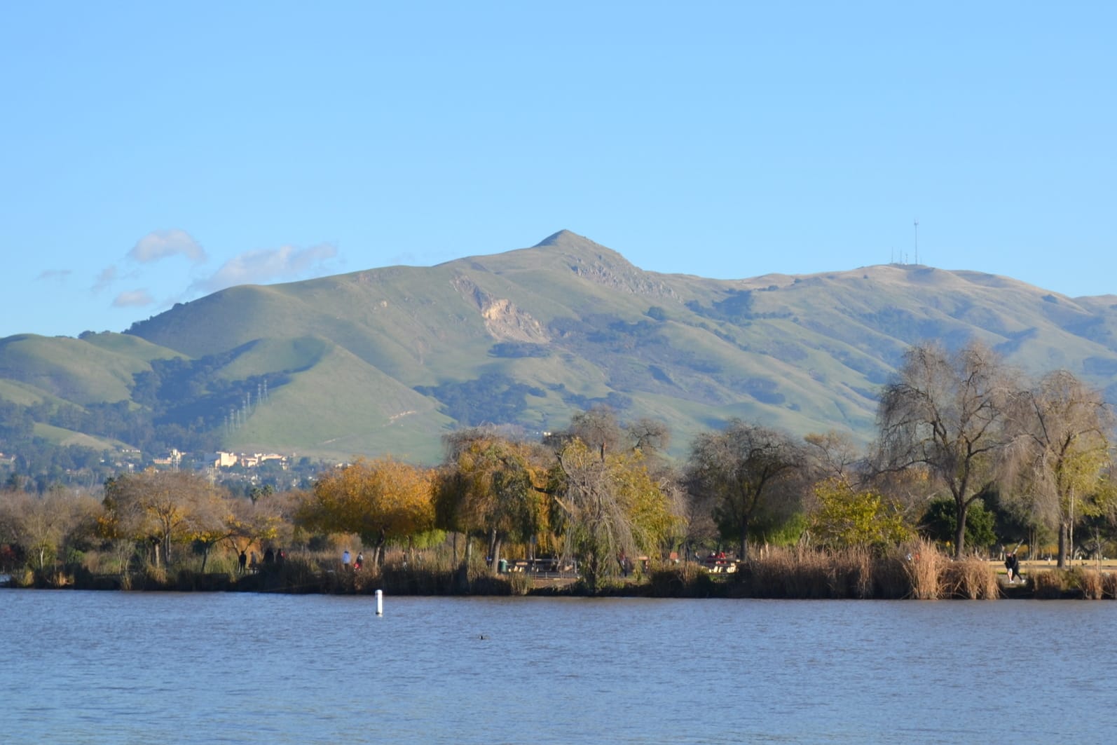 View of a serene lake with trees and hills in the background, possibly in a Bay Area city.